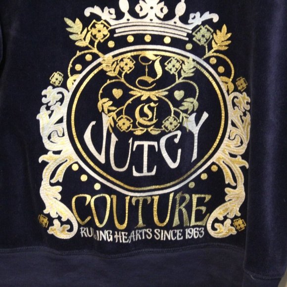 Juicy Couture Jackets & Blazers - Juicy Couture Velour Full Zip Hoodie H11332